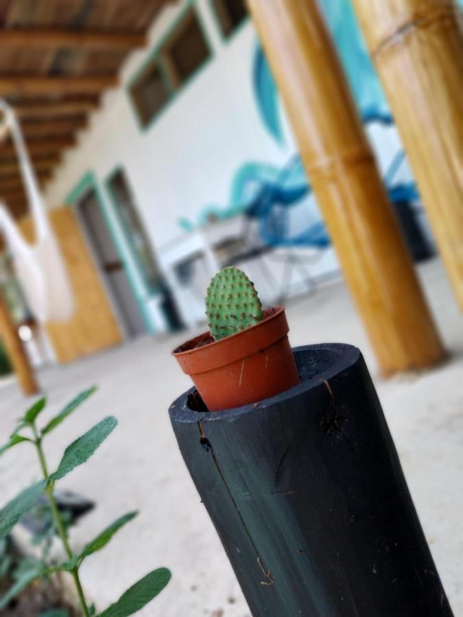 Flor De Bambu Apartment อูวีตา ภายนอก รูปภาพ